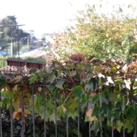 Appartement Casa Magda