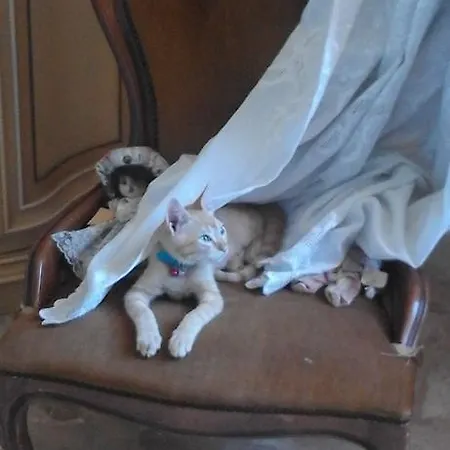 Casa Magda Castellabate